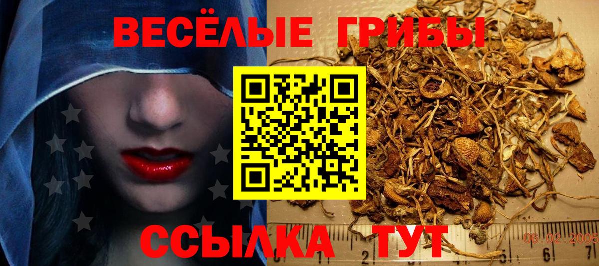 Псилоцибиновые грибы Psilocybine cubensis  Вход с VPN  Псилоцибиновые грибы Cubensis  Новоуральск 