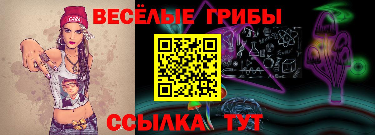 Псилоцибиновые грибы мицелий Новоуральск